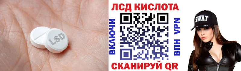 где купить наркоту  Шилка  Лсд 25 экстази ecstasy 