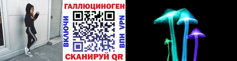 Псилоцибиновые грибы прущие грибы Шилка