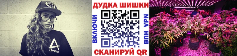 закладка  Шилка  Бошки Шишки индика 